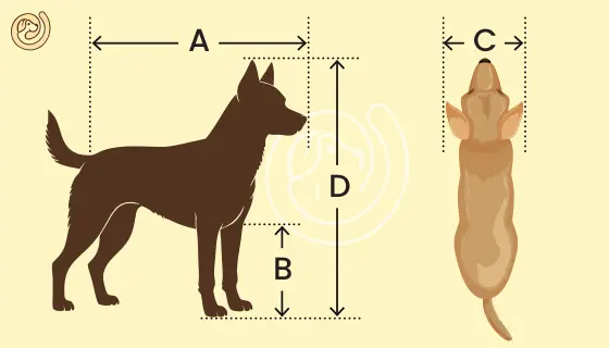IATA Pet Crate Measurement Guide